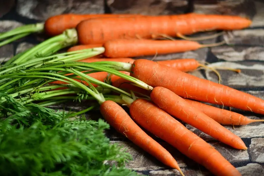 A cenoura e betacaroteno: alimentos para fortalecer os cabelos